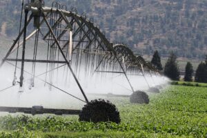 irrigation 6986021 1280