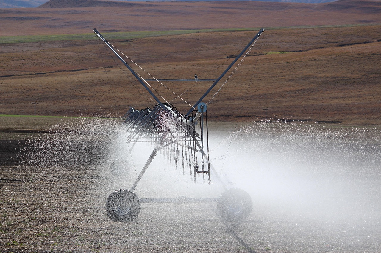 irrigation 4038805 1280